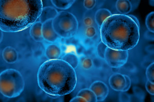 Embryonic stem cells , Cellular therapy , Regeneration , Disease treatment