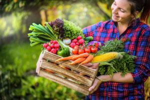 Farmer woman holding wooden box full of fresh raw vegetables. Basket with vegetable (cabbage, carrots, cucumbers, radish, corn, garlic and peppers) in the hands.