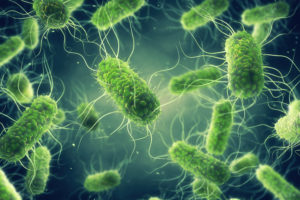 Microbiological research